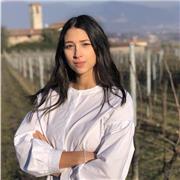 Lezioni spagnolo per studenti: conversazione e grammatica